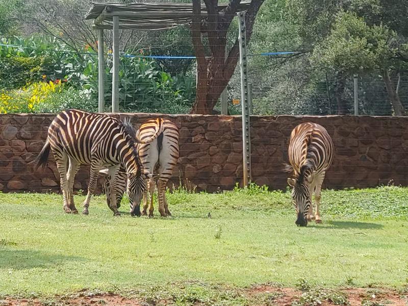 0 Bedroom Property for Sale in Rustenburg Rural North West